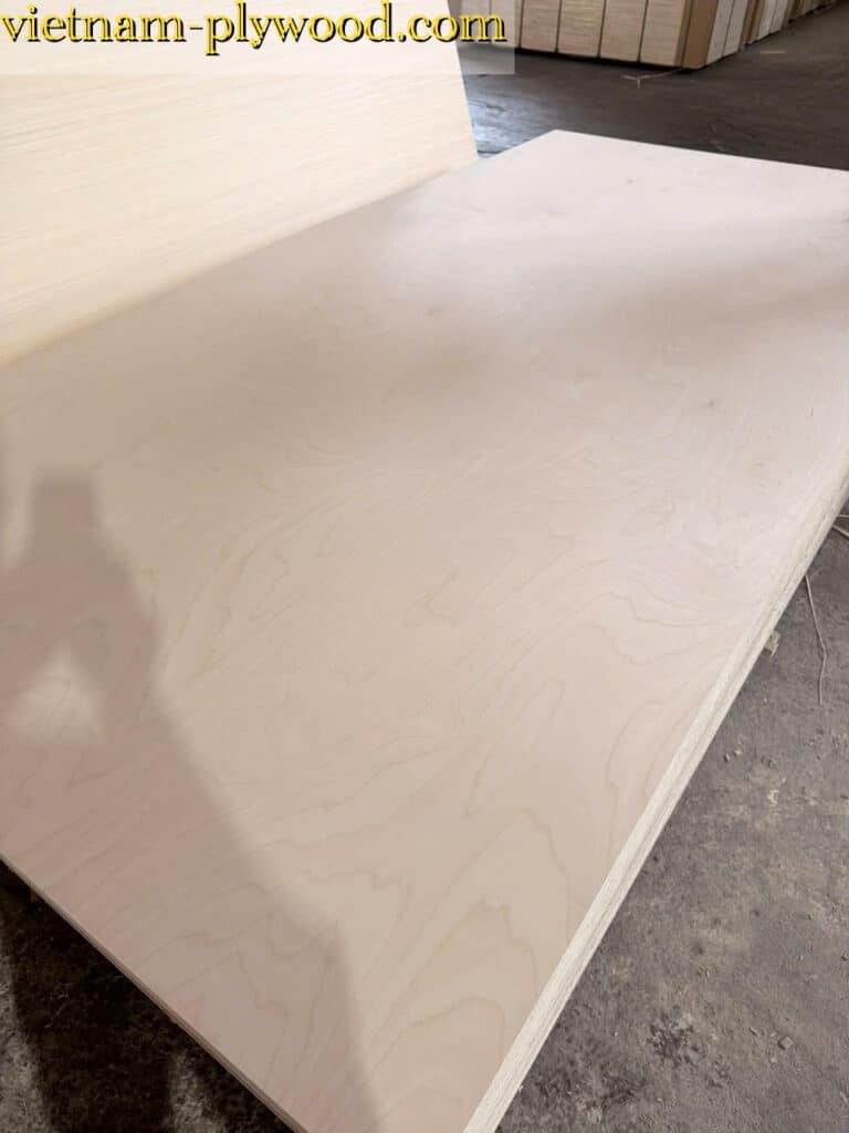 birch plywood vietnam export supplier hcply