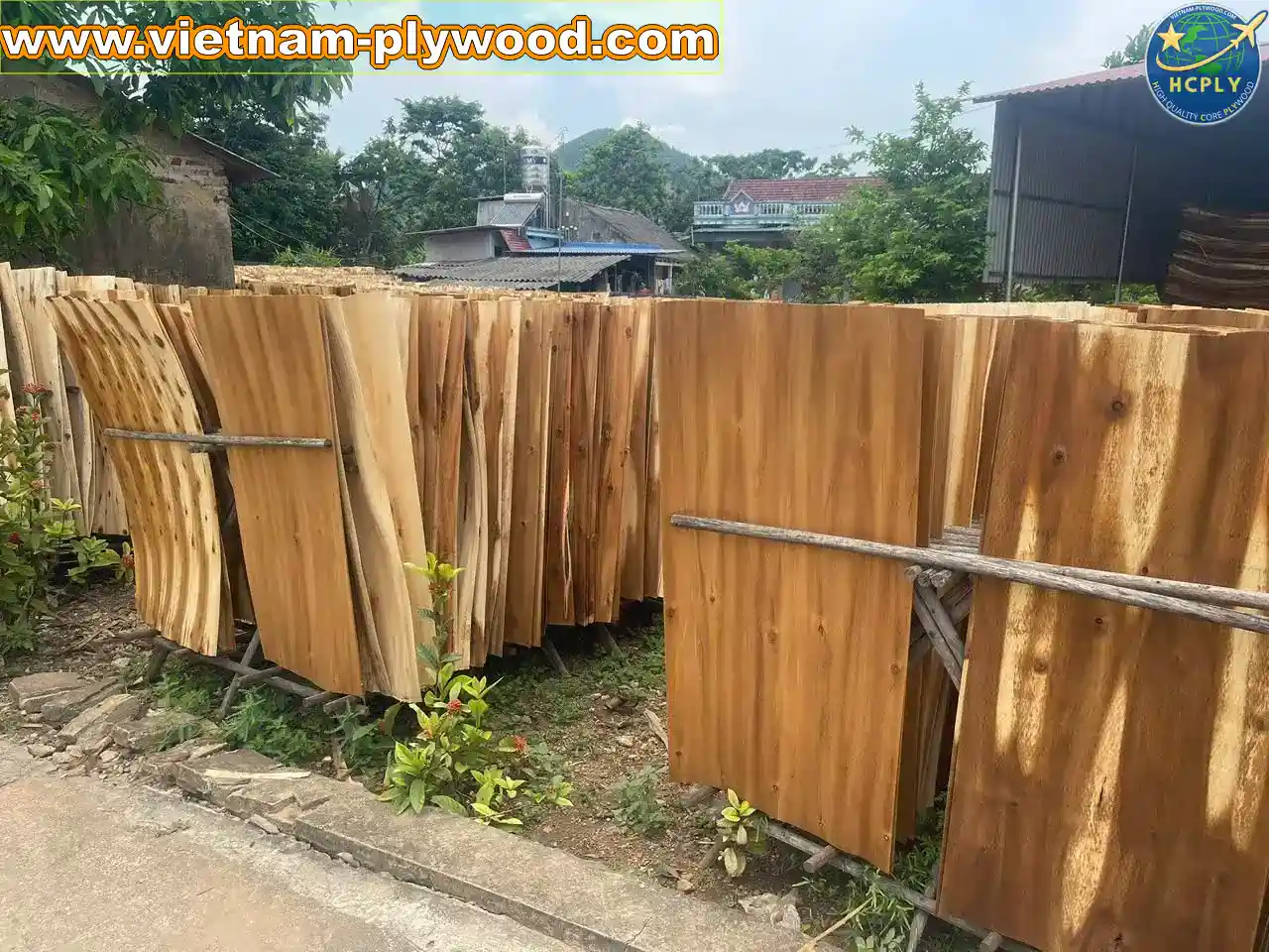 acacia core veneer vietnam export grade a plywood hcply