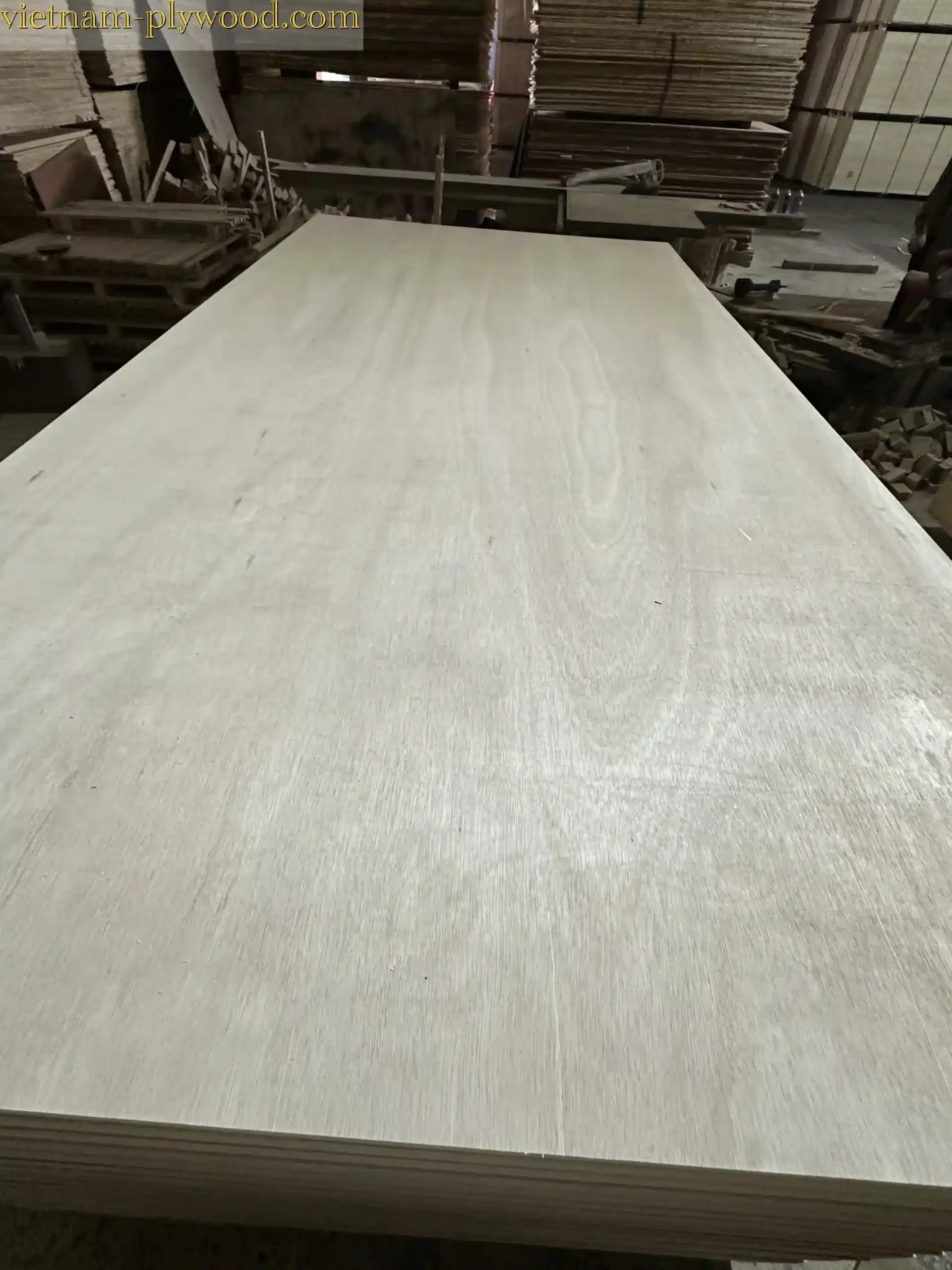 eucalyptus plywood vietnam hcply export