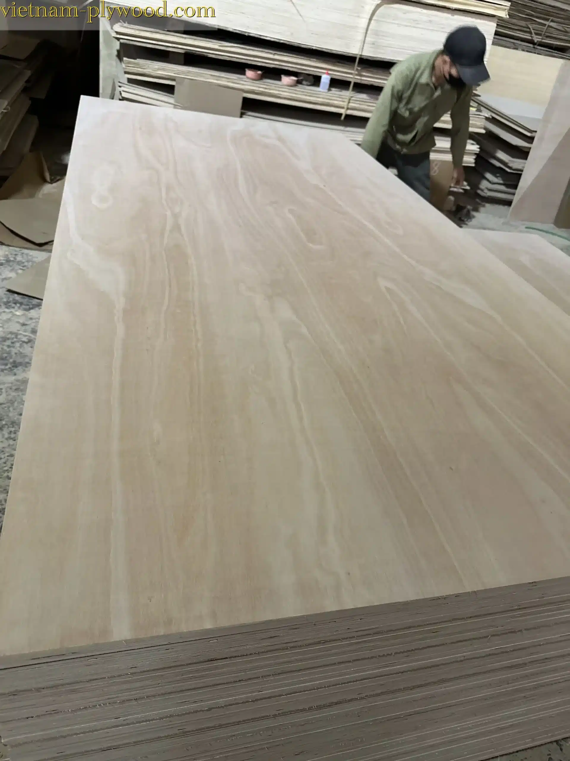 eucalyptus plywood vietnam hcply export