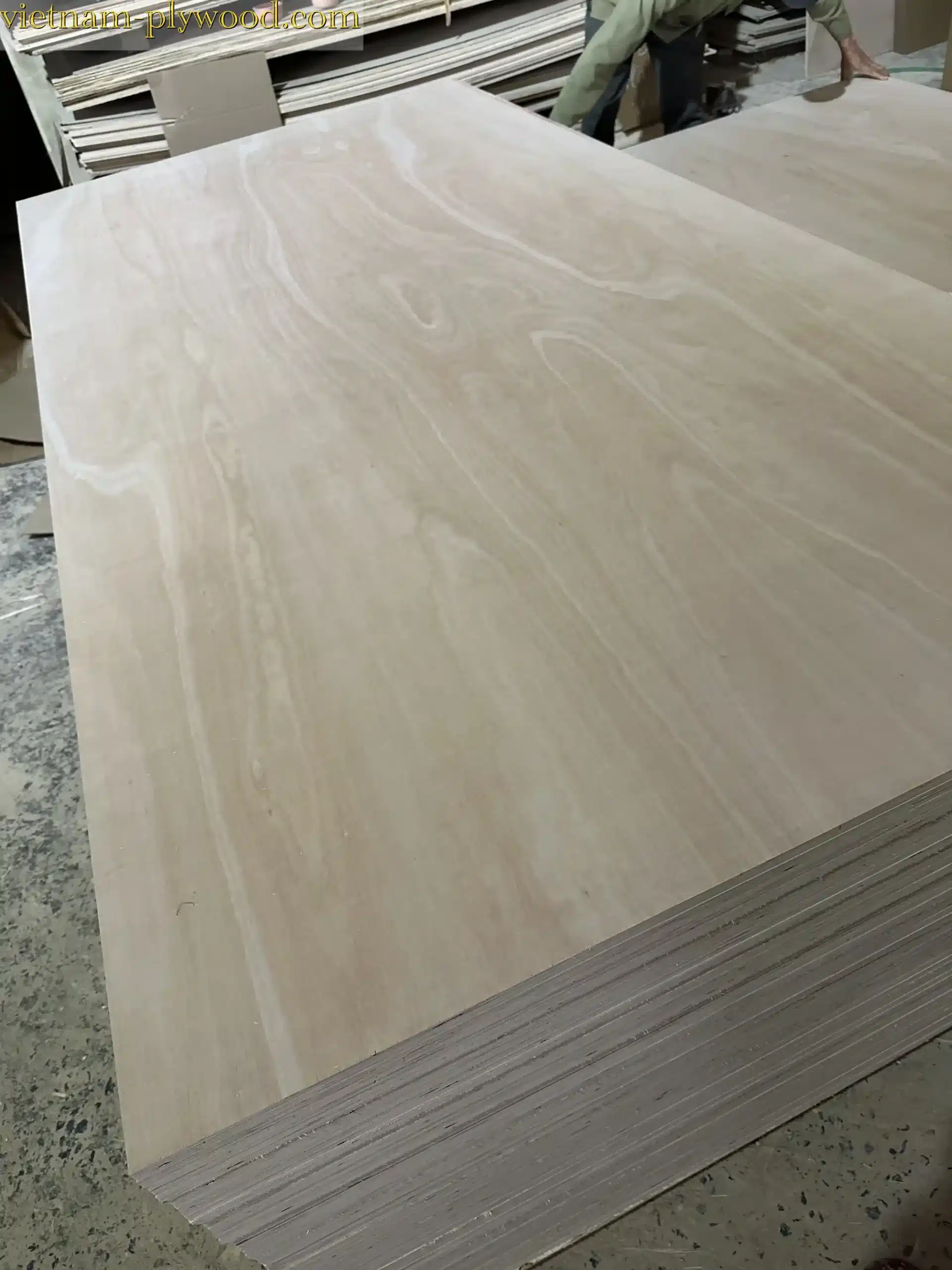 eucalyptus plywood vietnam hcply export