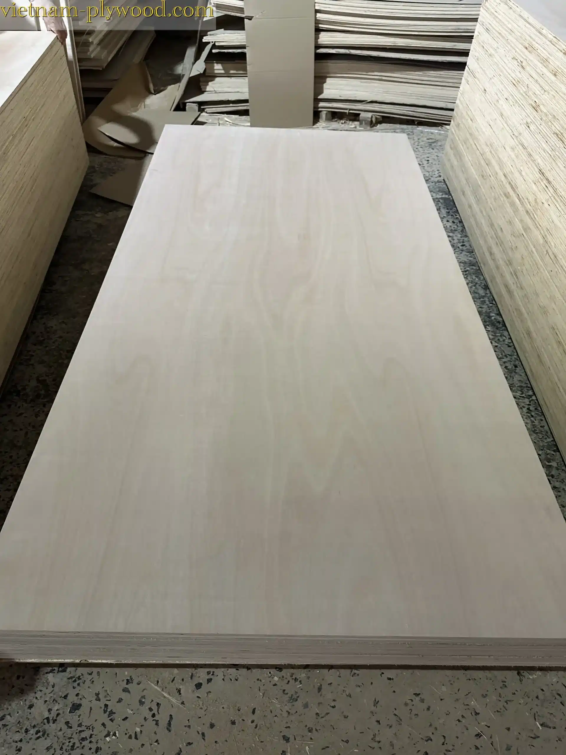 eucalyptus plywood vietnam hcply export