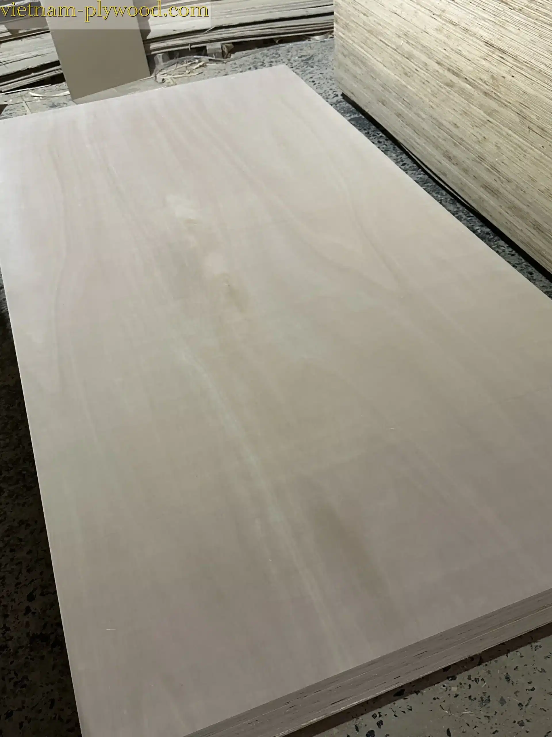 eucalyptus plywood vietnam hcply export