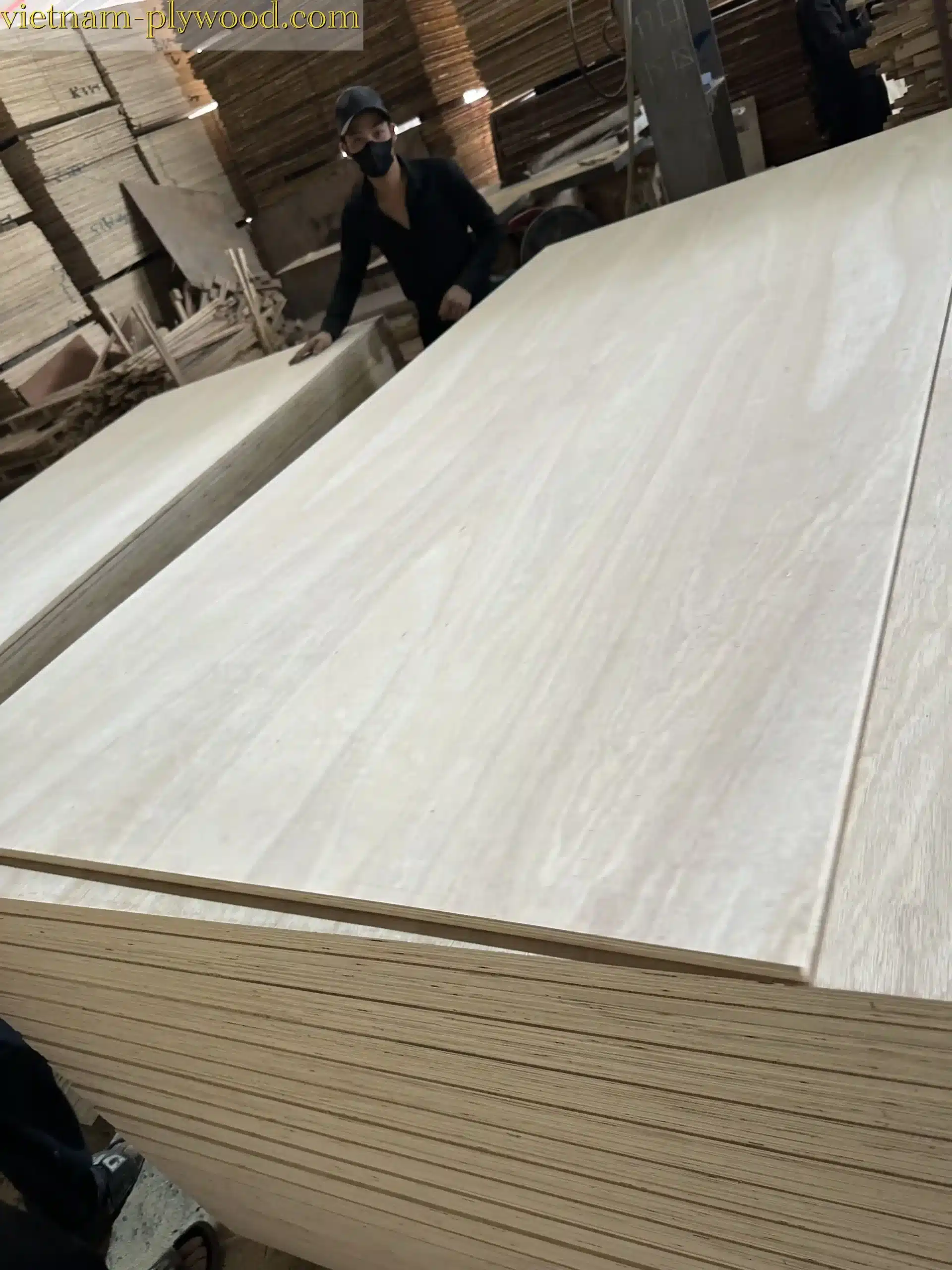 eucalyptus plywood vietnam hcply export