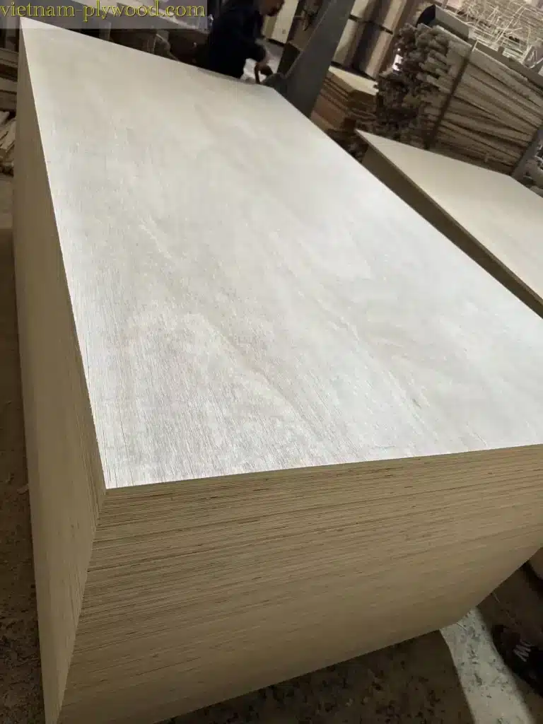 eucalyptus plywood vietnam hcply export