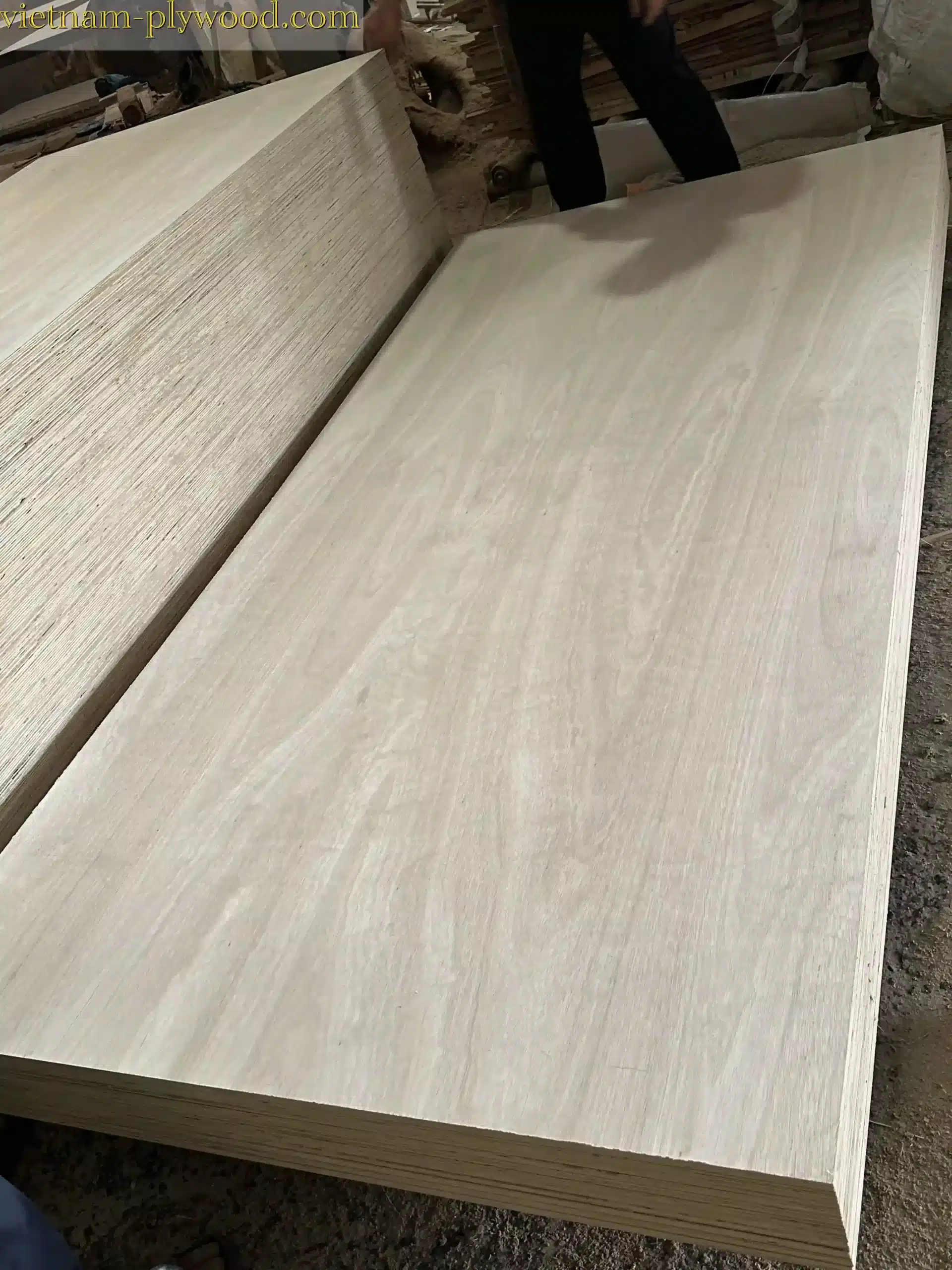 eucalyptus plywood vietnam hcply export