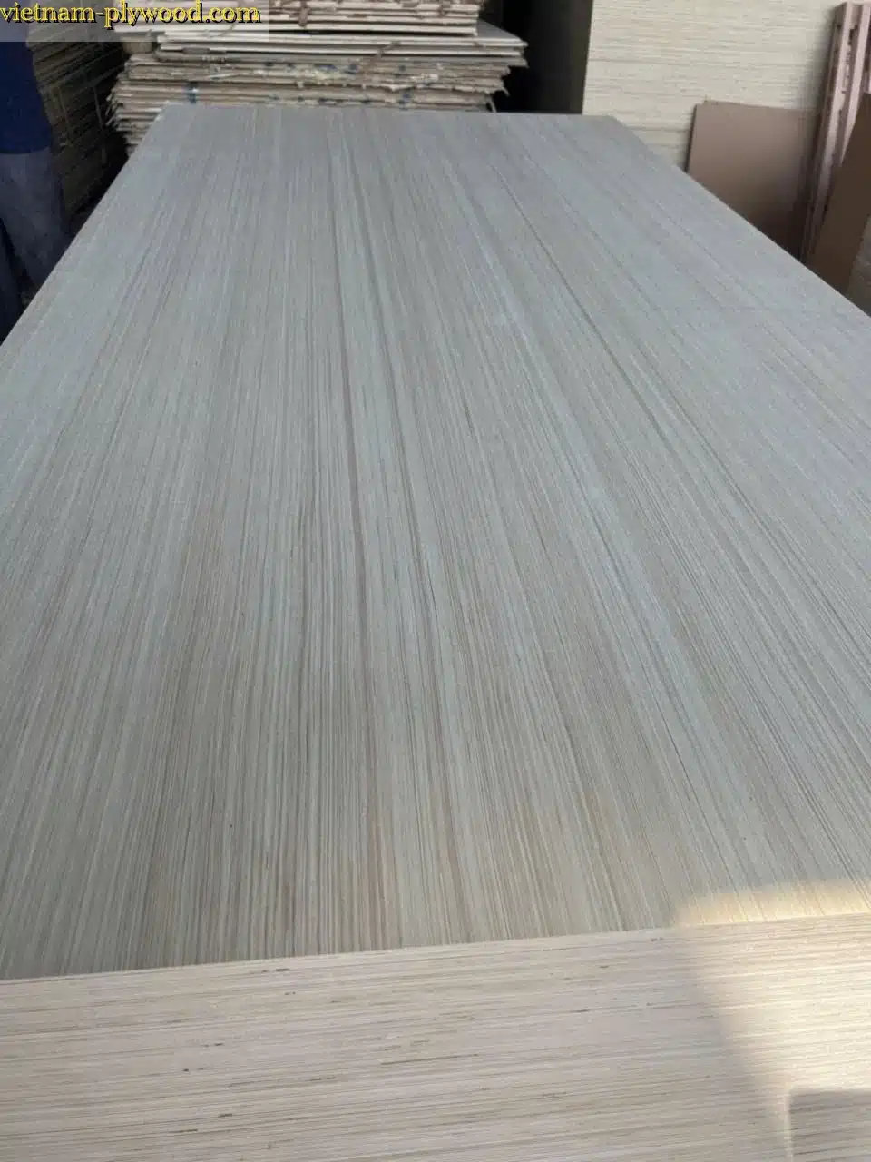 EV plywood vietnam hcply export