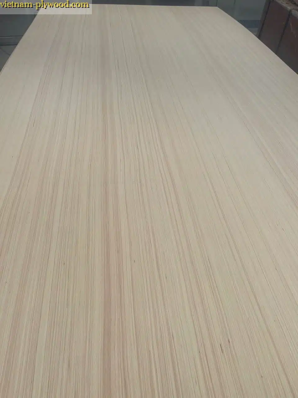 EV plywood vietnam hcply export