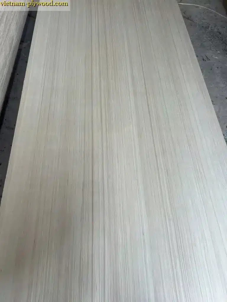 EV plywood vietnam hcply export