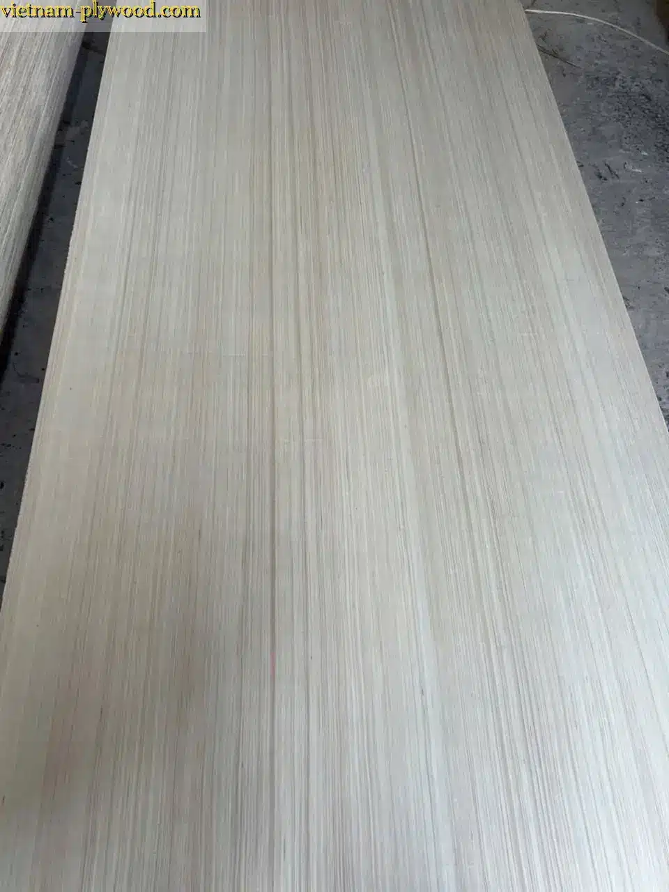 EV plywood vietnam hcply export