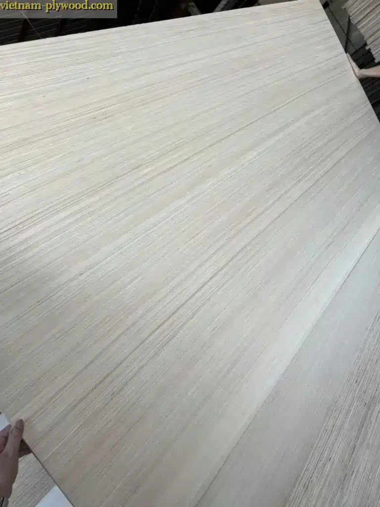 EV plywood vietnam hcply export