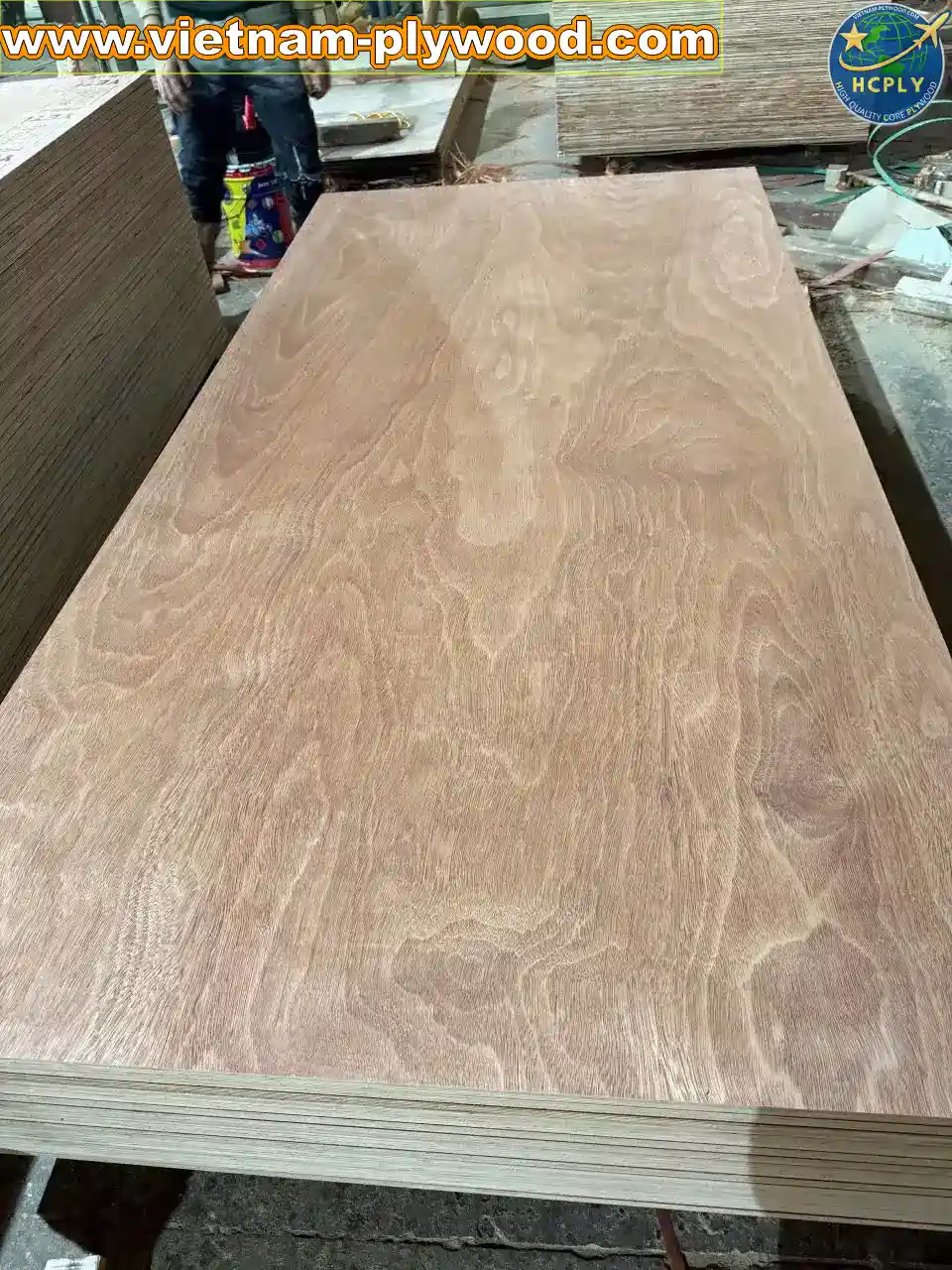 gurjan plywood vietnam premium export grade hcply