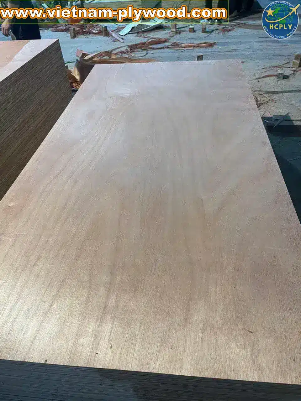 okoume plywood vietnam export lightweight panel hcply