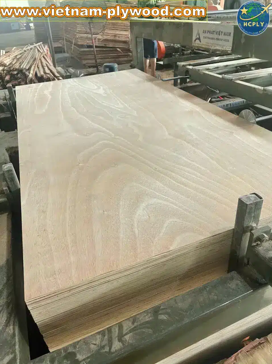 okoume plywood vietnam export lightweight panel hcply-vietnam commercial plywood