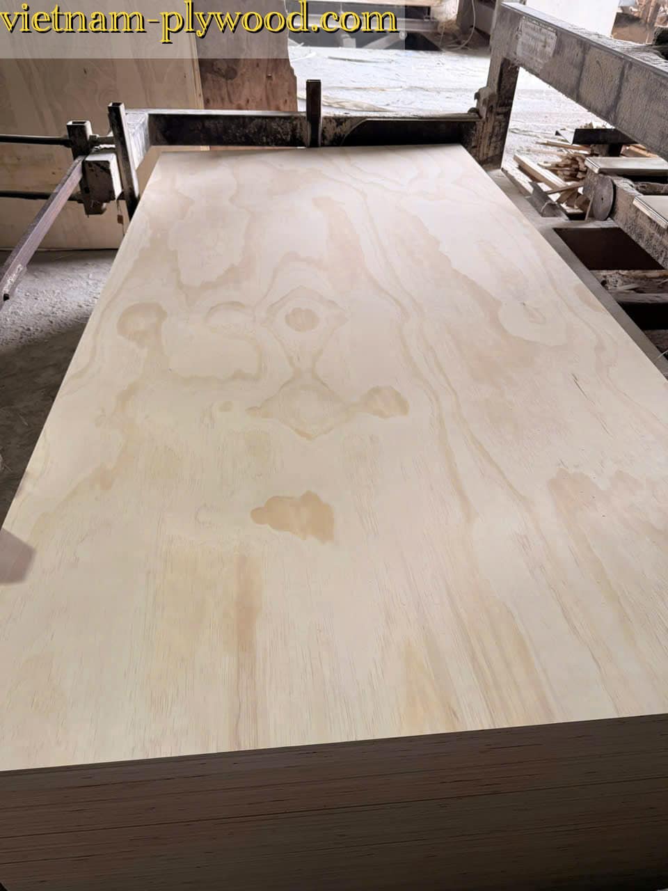 pine plywood vietnam hcply export