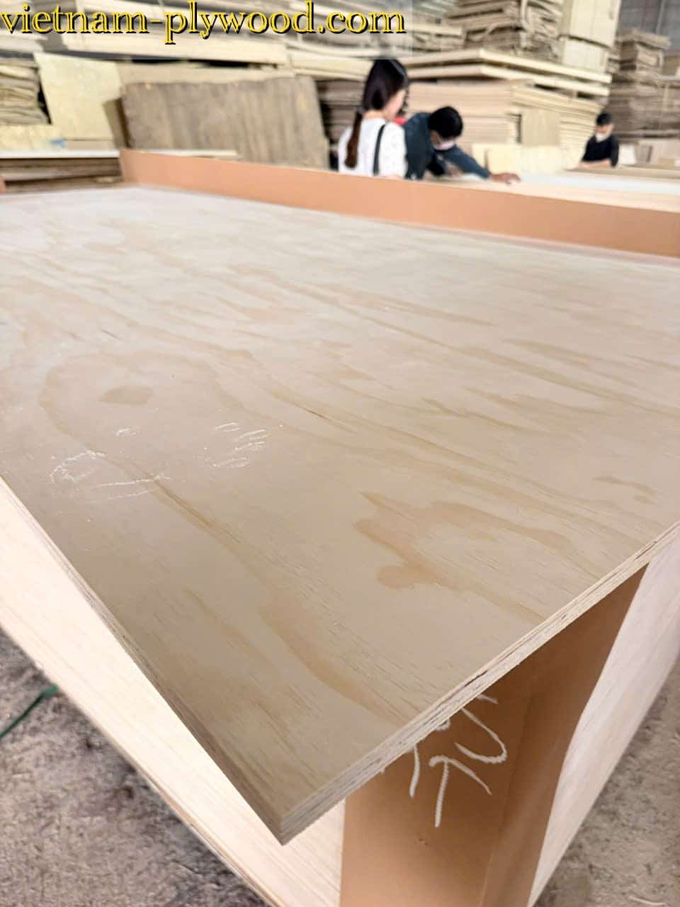 pine plywood vietnam hcply export