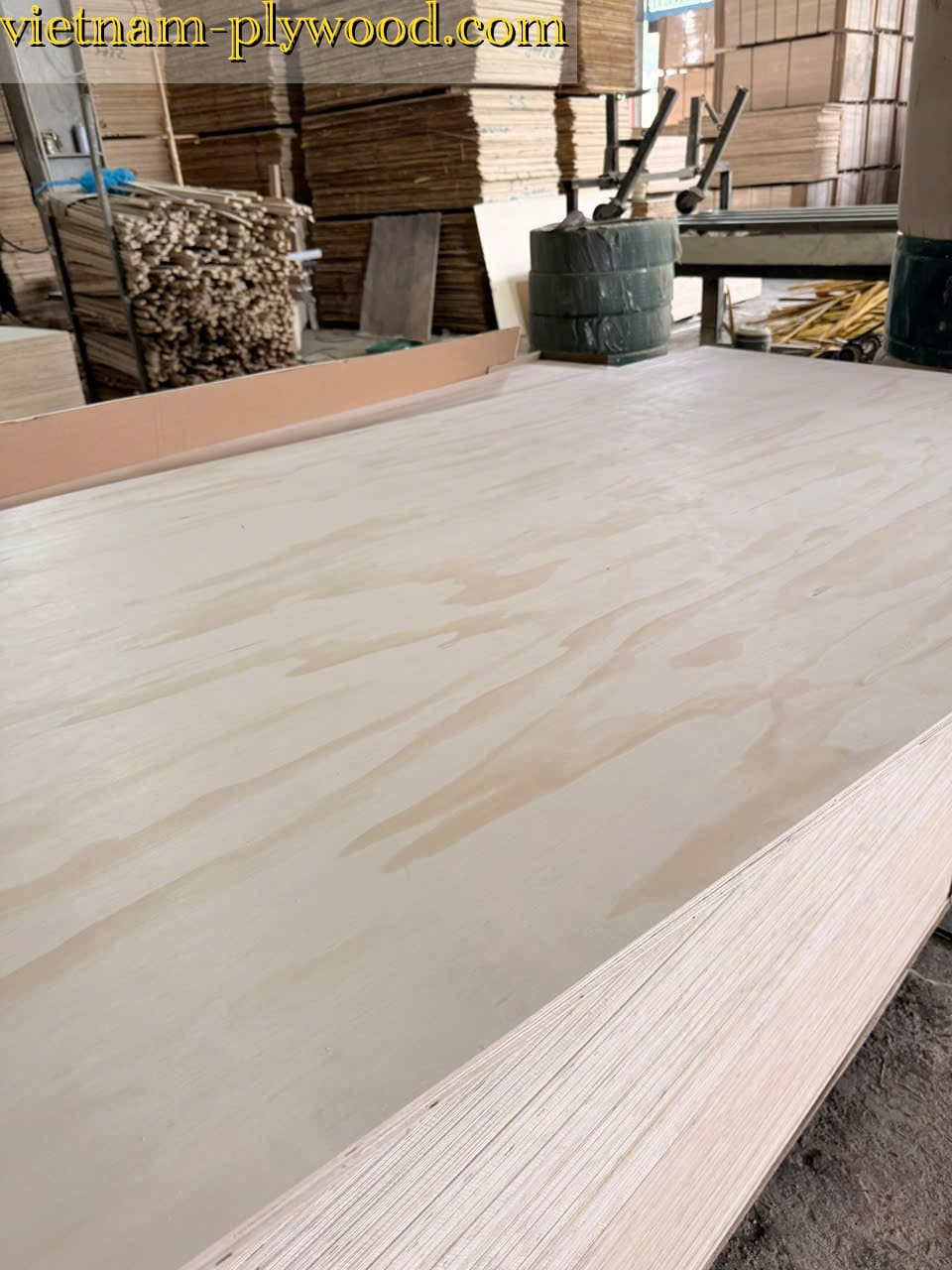 pine plywood vietnam hcply export