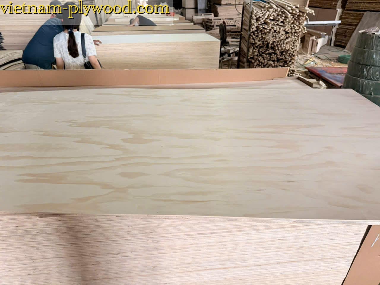 pine plywood vietnam hcply export