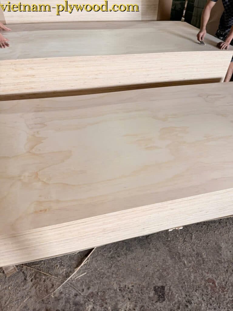 pine plywood vietnam hcply export