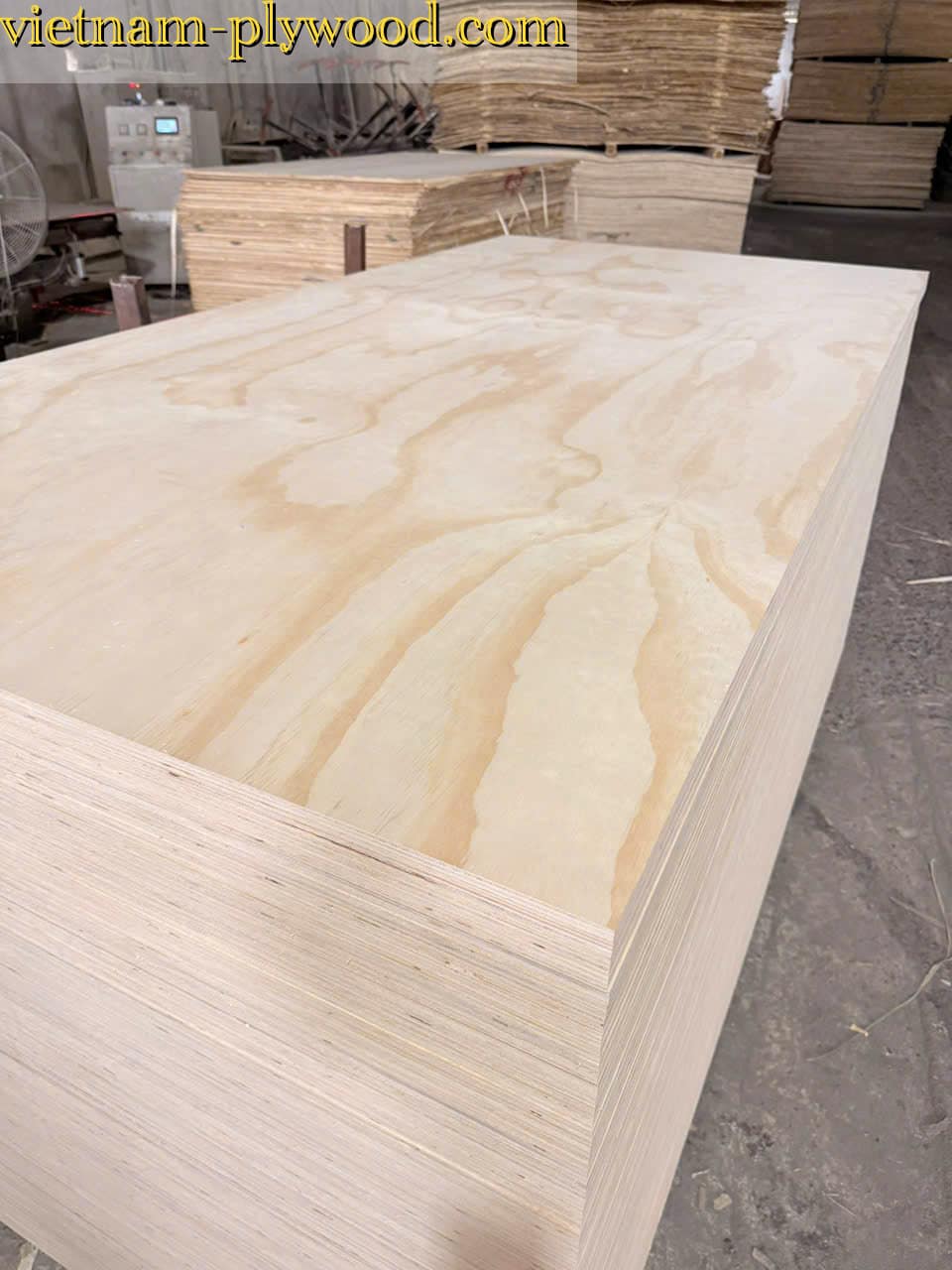 pine plywood vietnam hcply export