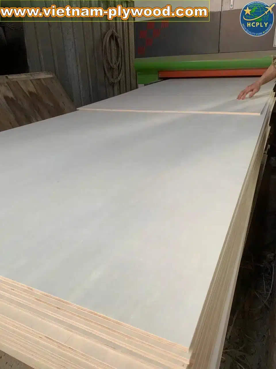 poplar plywood white core vietnam export hcply