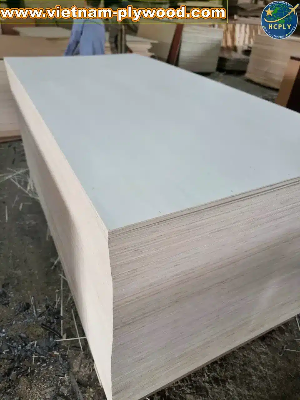 poplar plywood white core vietnam export hcply