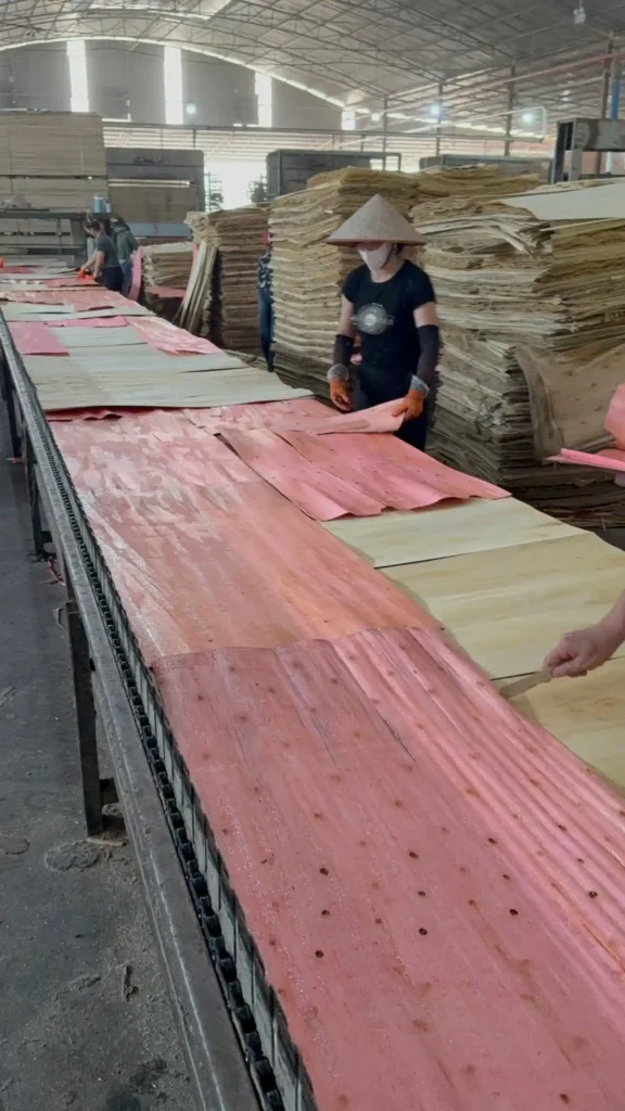 plywood sheet processing vietnam plywood manufacturing plant hcply
